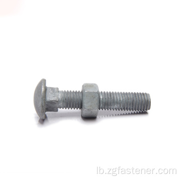 Zoll Stol Round Head Galvanized Carriage Bolt